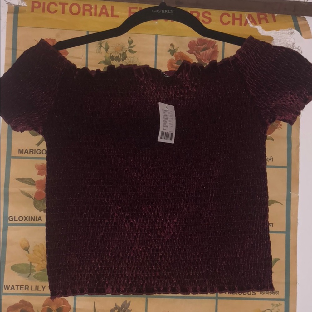 Off the Shoulder Red Wine Urban Outfitters Top❤️❤️